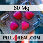 60 Mg 13